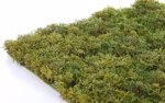 Muschi artificial decorativ tratat UV - 50x50 cm