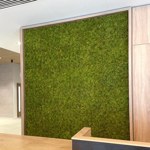 Muschi artificial decorativ tratat UV - 50x50 cm