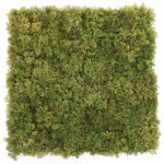 Muschi artificial decorativ tratat UV - 50x50 cm