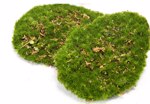 Set x4 muschi artificiali decorativi verzi 15x10cm 