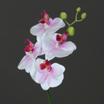 Orhidee artificiala alb-mov - 46 cm