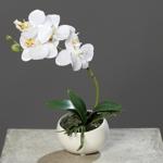 Orhidee artificiala alba in ghiveci ceramic - 25 cm