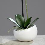 Orhidee artificiala alba in ghiveci ceramic - 40 cm