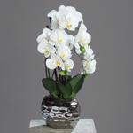 Orhidee artificiala alba in ghiveci ceramic - 50 cm