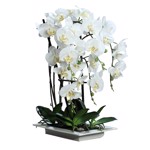 Orhidee artificiala alba in ghiveci ceramic - 62 cm