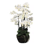 Orhidee artificiala alba pentru ghiveci - 110 cm
