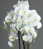 Orhidee artificiala alba pentru ghiveci - 85 cm