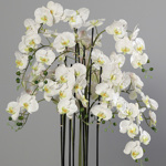 Orhidee artificiala crem pentru ghiveci - 140 cm