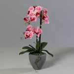 Orhidee artificiala roz-crem in ghiveci ceramic - 57 cm