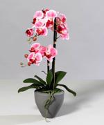 Orhidee artificiala roz-crem in ghiveci ceramic - 57 cm