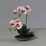 Orhidee artificiala roz-crem in ghiveci ceramic - 30 cm