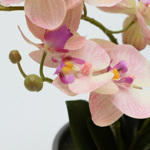 Orhidee artificiala roz-crem in ghiveci ceramic - 35 cm