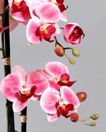 Orhidee artificiala roz-crem in ghiveci ceramic - 70 cm