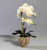 Orhidee artificiala galbena in ghiveci ceramic - 57 cm