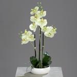 Orhidee artificiala verde-crem in ghiveci ceramic - 36 cm