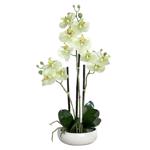 Orhidee artificiala verde-crem in ghiveci ceramic - 36 cm