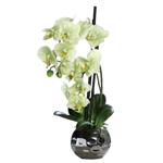 Orhidee artificiala verde-crem in ghiveci - 50 cm