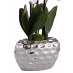 Orhidee artificiala verde-crem in ghiveci ceramic - 50 cm