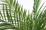 Palmier artificial Areca in ghiveci - 180 cm