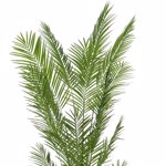 Palmier artificial Areca in ghiveci - 240 cm