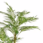 Palmier artificial Areca x3 in ghiveci - 195 cm