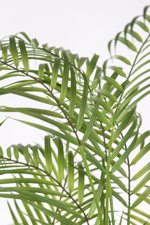 Palmier artificial Chamaedorea in ghiveci din plastic - 180 cm