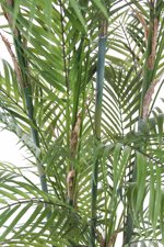 Palmier artificial Chamaedorea in ghiveci din plastic - 180 cm