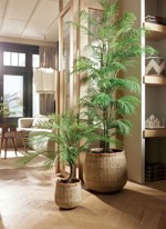 Palmier artificial Chamaedorea in ghiveci din plastic - 180 cm
