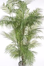 Palmier artificial Chamaedorea in ghiveci din plastic - 180 cm