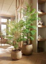 Palmier artificial Chamaedorea in ghiveci din plastic - 120 cm