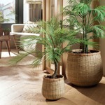 Palmier artificial Chamaedorea in ghiveci din plastic - 85 cm