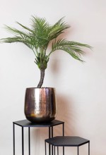 Palmier artificial Chamaedorea in ghiveci din plastic - 85 cm