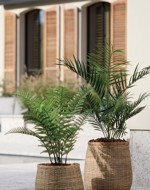 Palmier artificial decorativ Areca tratat UV in ghiveci - 90 cm