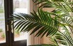 Palmier artificial decorativ Paradise x22 in ghiveci - 175 cm