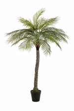 Palmier artificial decorativ Phoenix in ghiveci - 160 cm