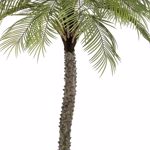 Palmier artificial decorativ Phoenix in ghiveci - 160 cm