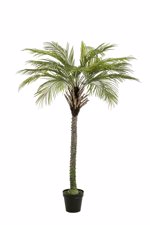 Palmier artificial decorativ Phoenix in ghiveci - 180 cm