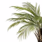 Palmier artificial decorativ Phoenix in ghiveci - 180 cm
