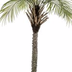 Palmier artificial decorativ Phoenix in ghiveci - 180 cm