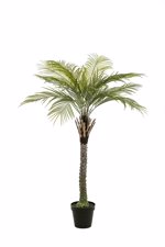 Palmier artificial decorativ Phoenix in ghiveci - 220 cm