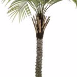Palmier artificial decorativ Phoenix in ghiveci - 220 cm