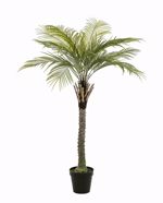 Palmier artificial decorativ Phoenix in ghiveci - 260 cm