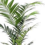 Palmier artificial Kentia in ghiveci - 210 cm