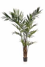Palmier artificial Kentia in ghiveci - 270 cm