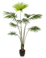 Palmier artificial Livistona in ghiveci - 160 cm