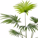 Palmier artificial Livistona in ghiveci - 160 cm