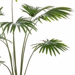 Palmier artificial Livistona in ghiveci - 160 cm