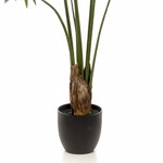 Palmier artificial Livistona in ghiveci - 160 cm