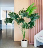 Palmier artificial Livistona in ghiveci - 160 cm