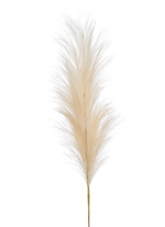 Pampas artificial decorativ crem - 115 cm 